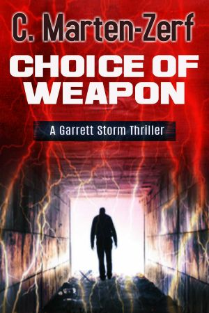 [Garrett Storm 01.0] Choice of Weapon